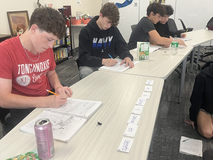Four male students are sitting at tables and are copying their sentence that they sequenced using the vocabulary cards from our class novel, El capibara con botas.