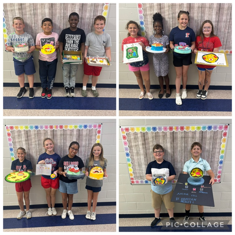 5th grade students in Mrs. Arnold’s science classes did an excellent job creating and presenting their cell projects this week. #tces