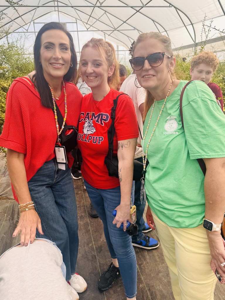 teachers