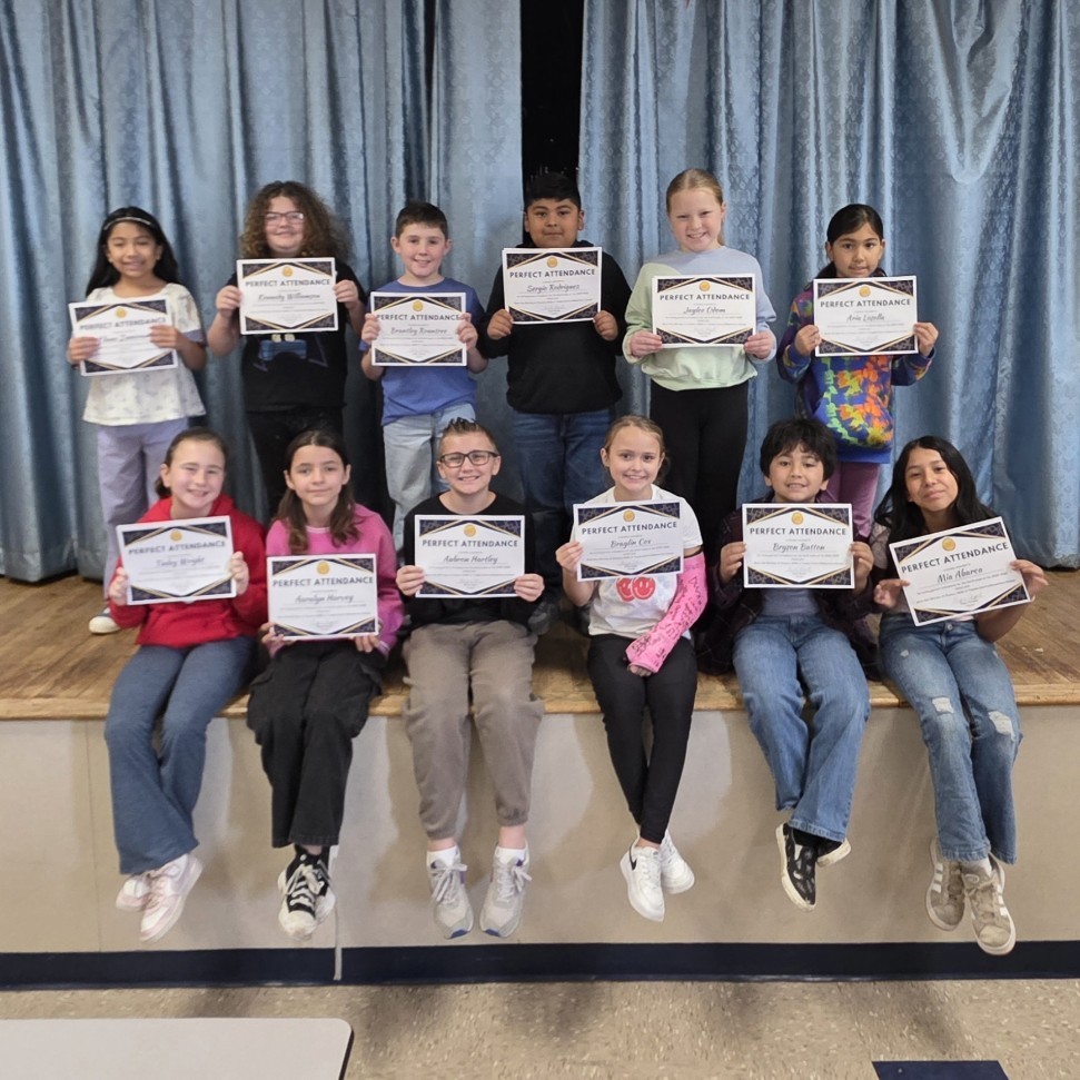 Perfect Attendance Award