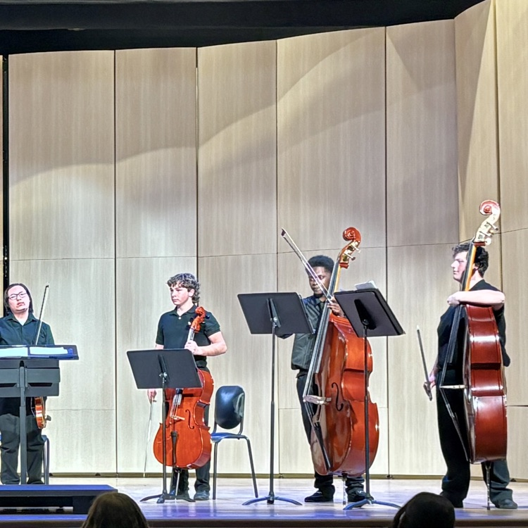 GMEA Orchestra Large Group Evaluation 2026