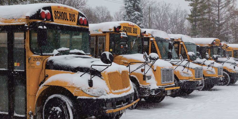 An image of yellow school buses covered in snow.