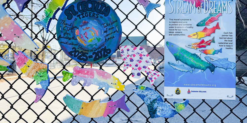 Photo of the colored wooden fish placed along the school fence along with a poster explaining Stream of Dreams