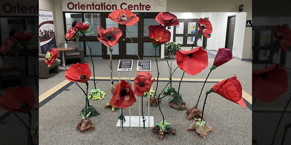 Photo of a sculpture installation created by Cardinal Carter students, showing a field of giant poppies along with memorial and informative plaques.