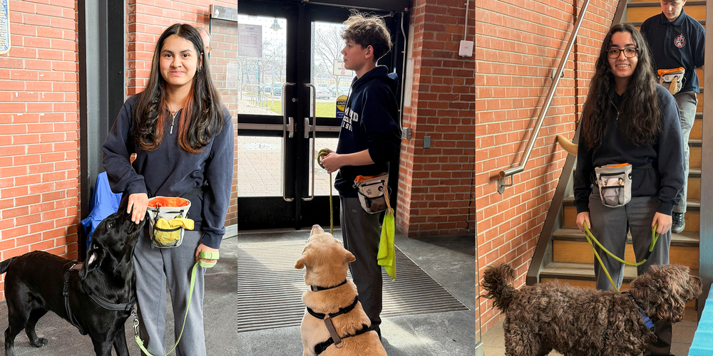 Collage of three photos of Redmond students with the therapy dogs they helped to train