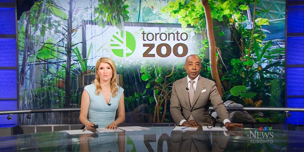 Screenshot from the video of two CP24 news anchors speaking with the logo of the Toronto Zoo behind them