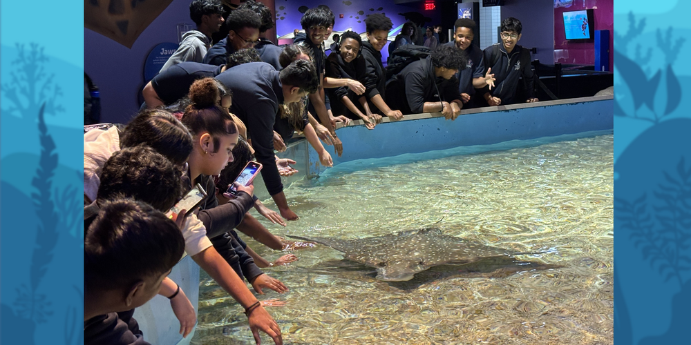 SJOA Grade 10 Science Students Participate in Experiential Learning at Ripley's Aquarium of Canada