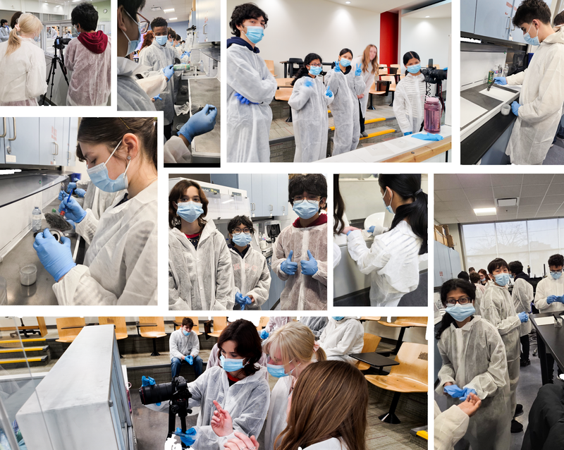 Collage of photos of McLuhan students in lab scrubs, masks and gloves during the excursion