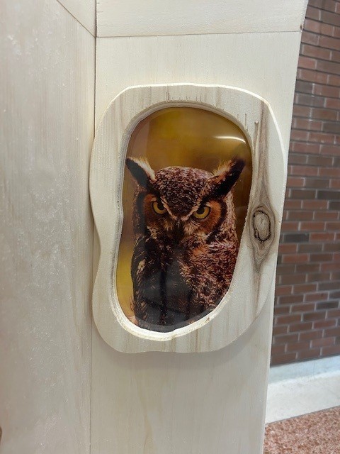 Photo of an owl display that is part of the Every Child Matters exhibit