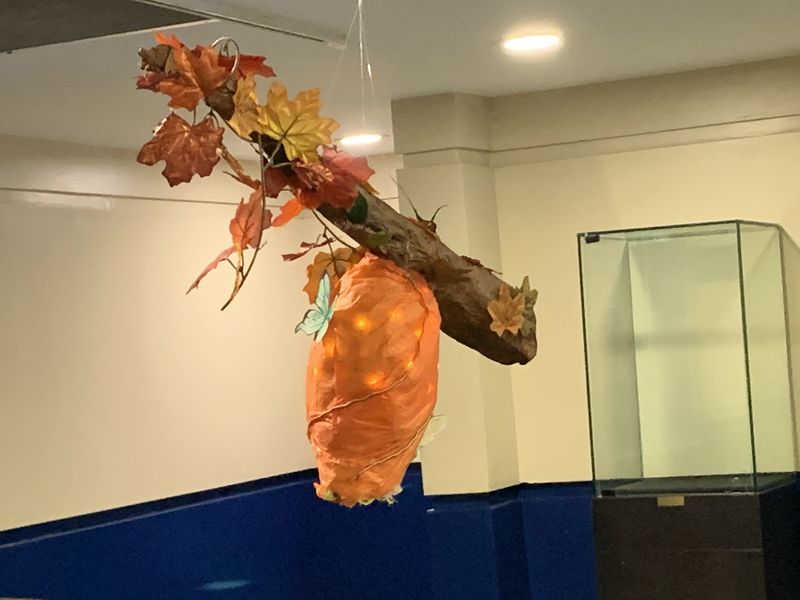 Photo of parts of the art installation made by Cardinal Carter students