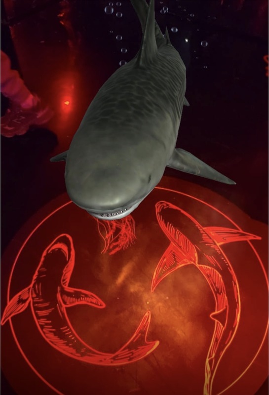 Photo of an Arcadia Earth exhibit