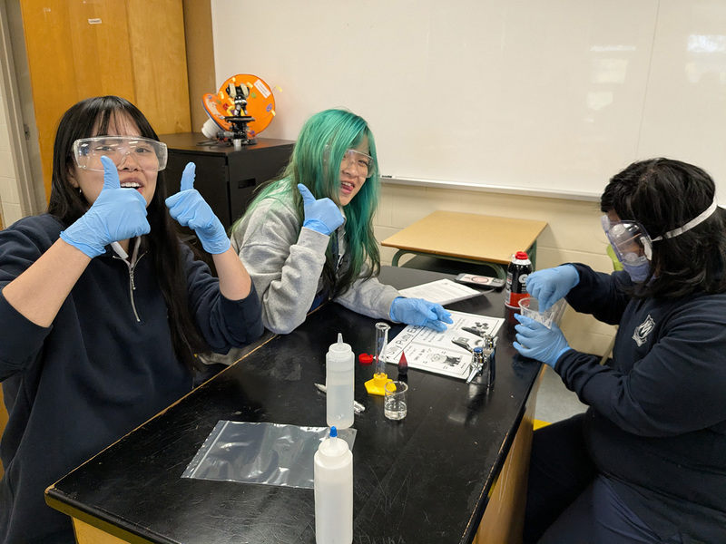 Photo of Madonna students working together to make silly putty