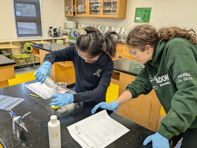 Photo of Madonna students working together to make silly putty