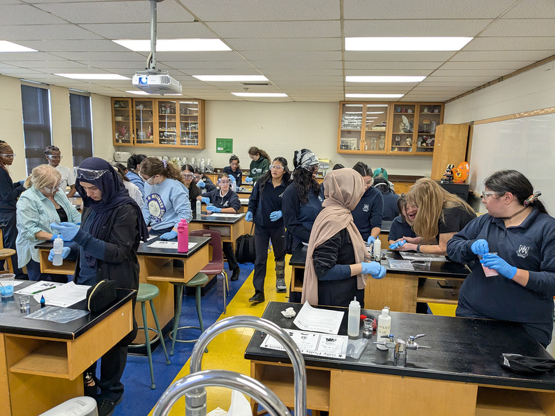 Photo of Madonna students working together to make silly putty