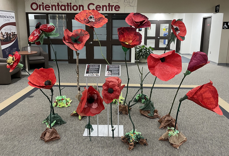Photo of a sculpture installation created by Cardinal Carter students, showing a field of giant poppies along with memorial and informative plaques.