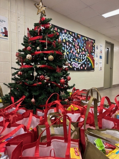 Dante Alighieri Academy Supports Youth Through Project Hope