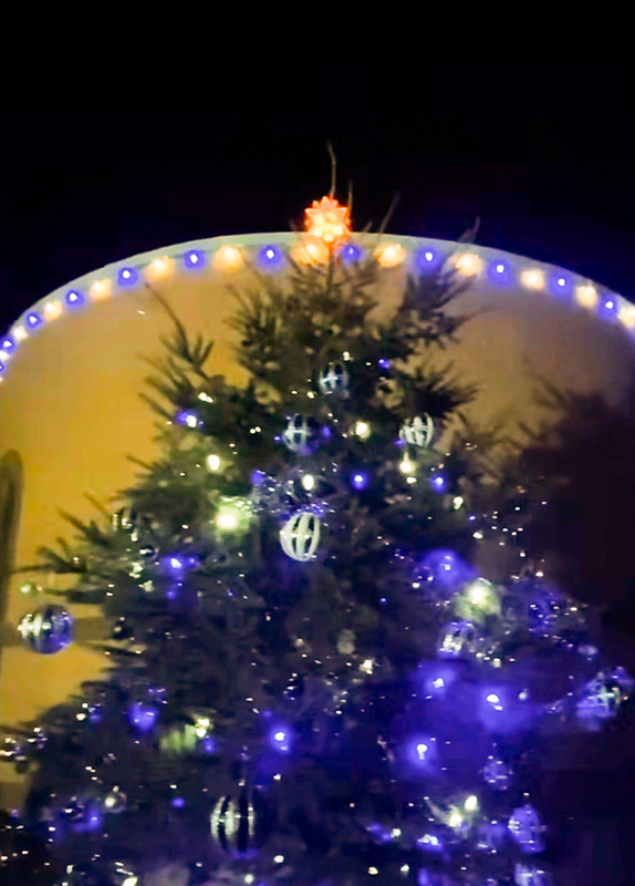 Closeup photo of the Christmas tree with the star