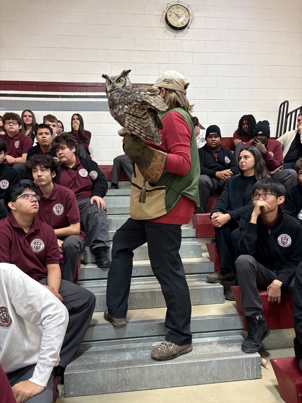 Birds of Prey Presentation