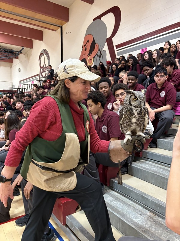 Birds of Prey Presentation