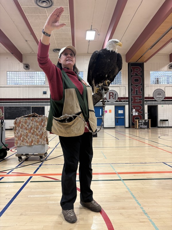 Birds of Prey Presentation