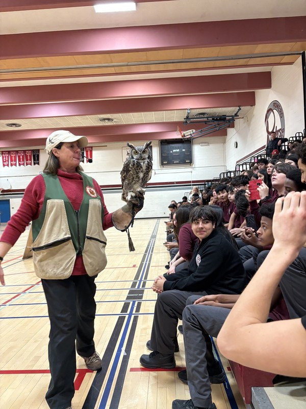 Birds of Prey Presentation