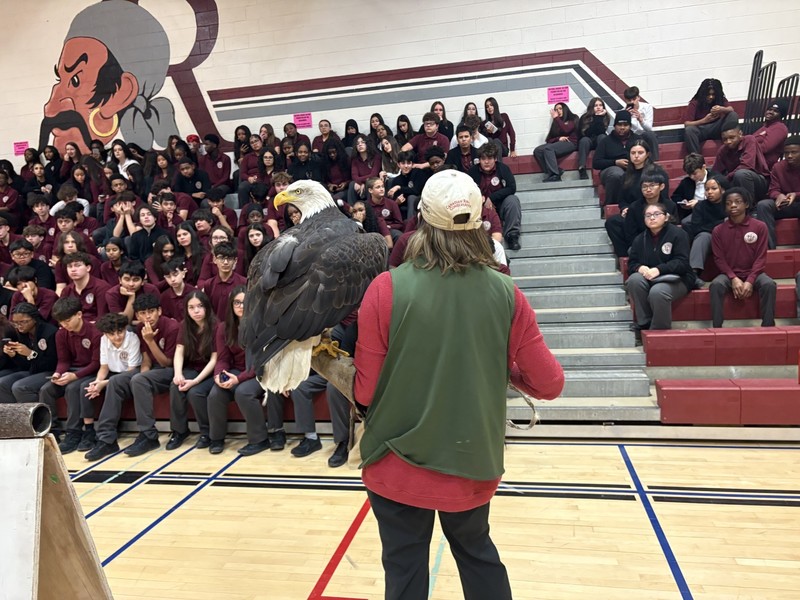 Birds of Prey Presentation