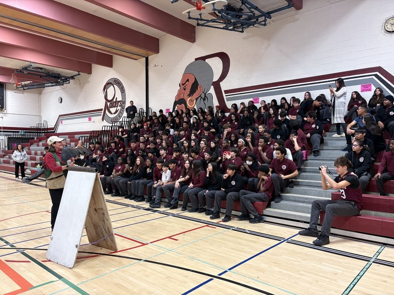 Birds of Prey Presentation