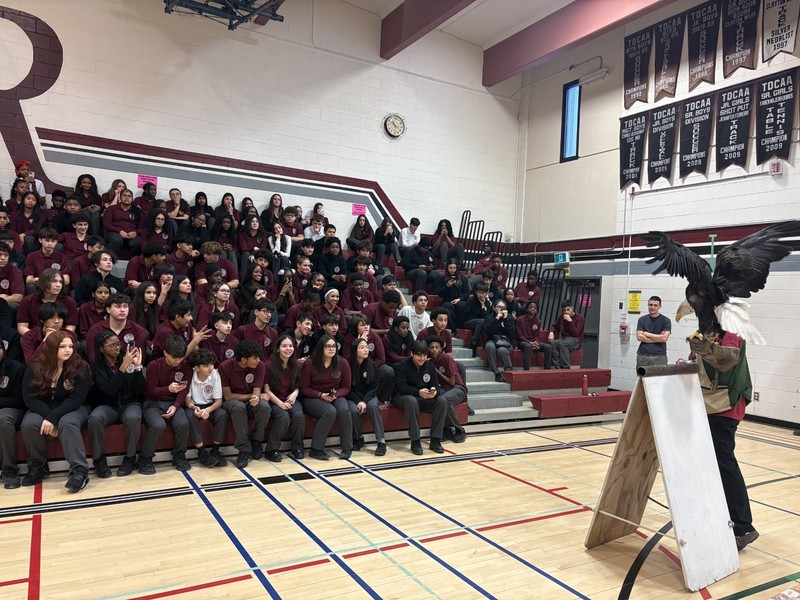 Birds of Prey Presentation
