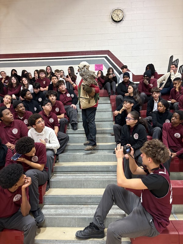 Birds of Prey Presentation