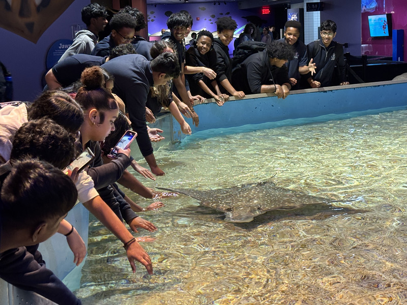 Grade 10 Science Students Explore Marine Biology at Ripley’s Aquarium