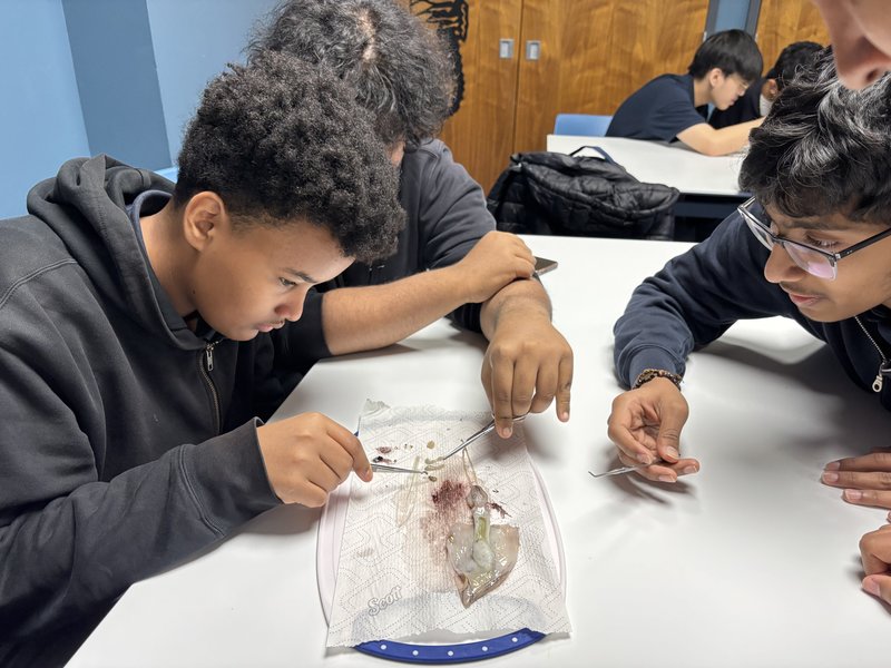 Grade 10 Science Students Explore Marine Biology at Ripley’s Aquarium