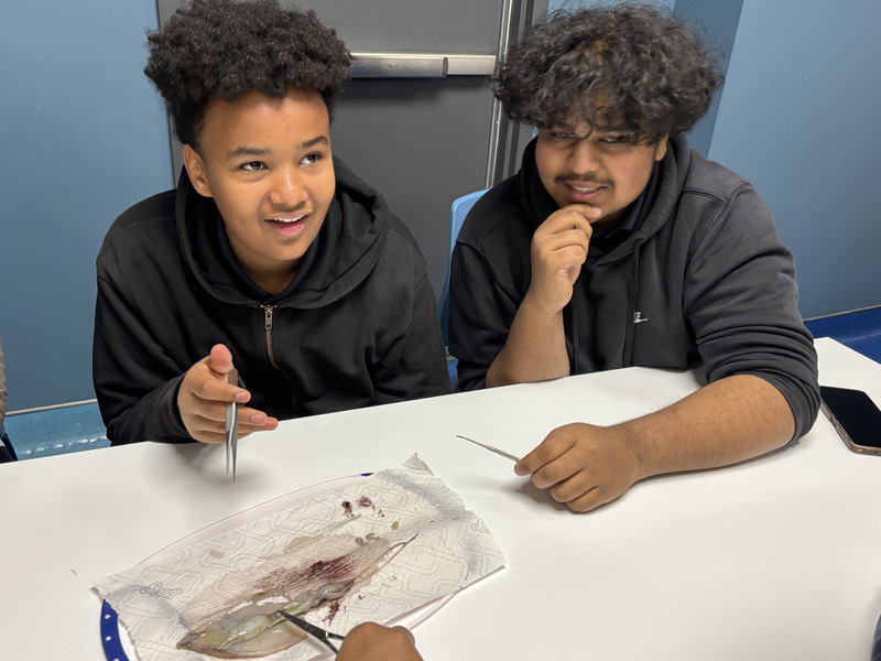 Grade 10 Science Students Explore Marine Biology at Ripley’s Aquarium