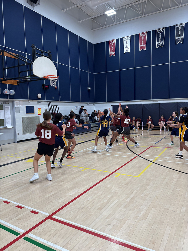 Photo of the teams playing on the court