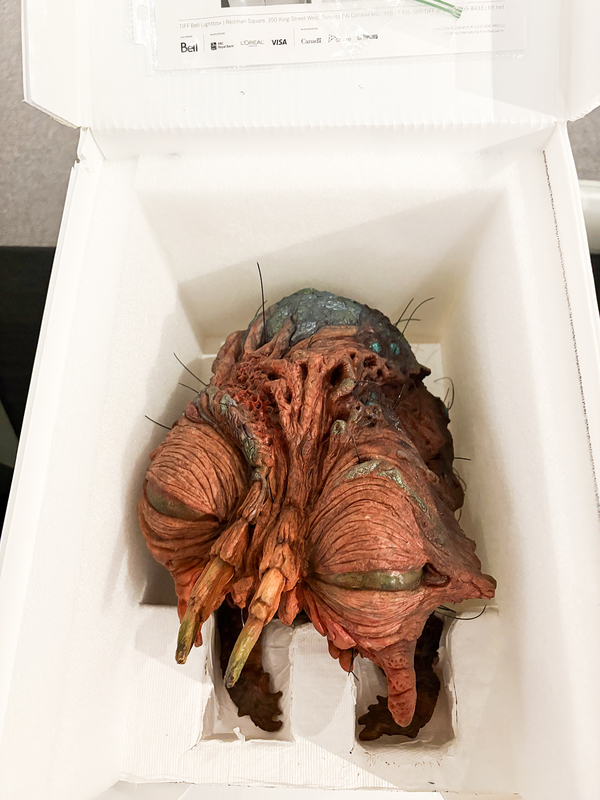 Photo of film memorabilia