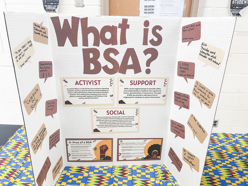 Photo of the project presentation boards made by Chaminade BSA students