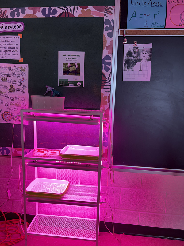 Photo of students in the program setting up the equipment for the plants