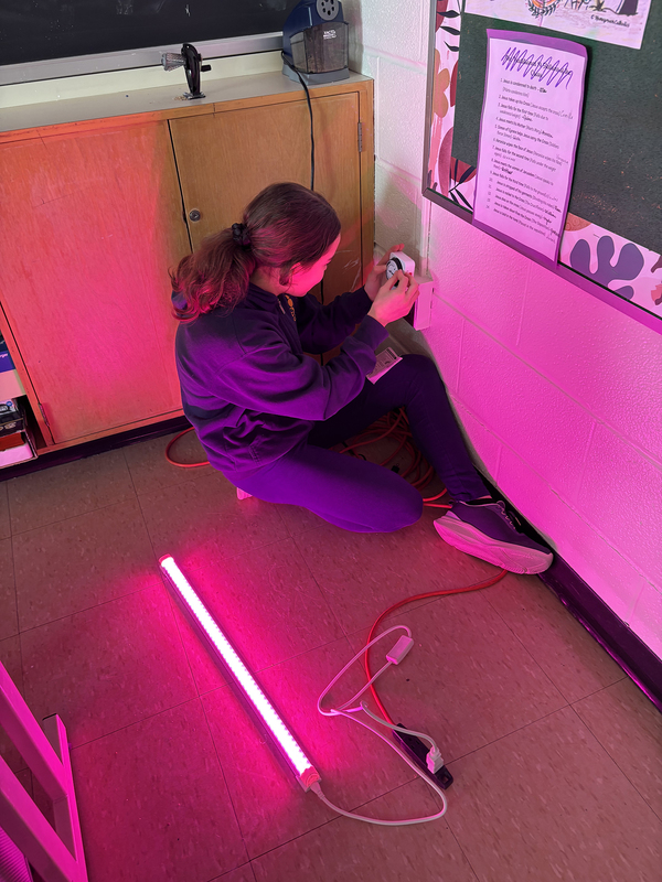 Photo of students in the program setting up the equipment for the plants