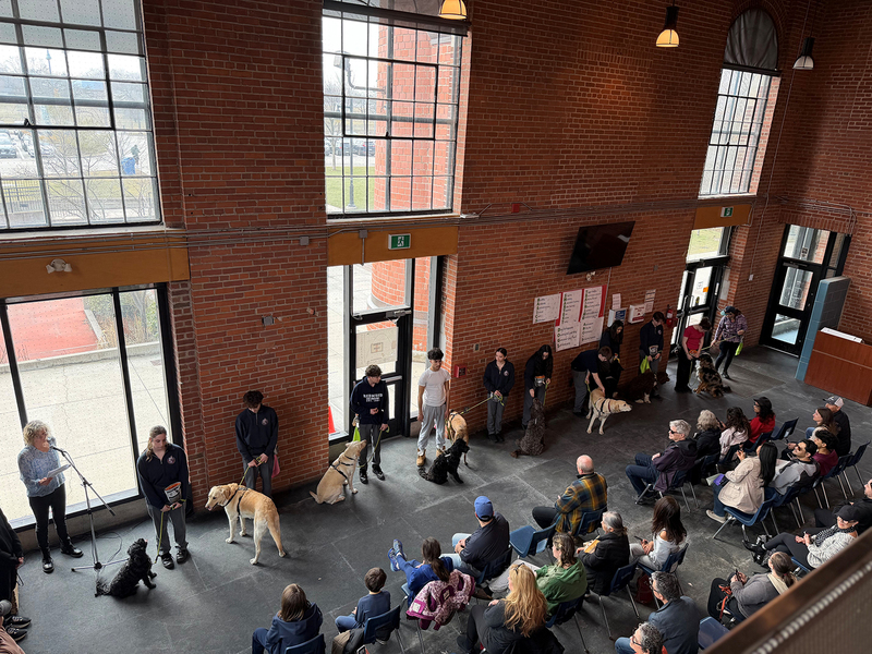 Photo from above of students with the therapy dogs at the event