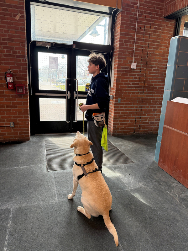 Photo of a Redmond student with the therapy dog they helped to train