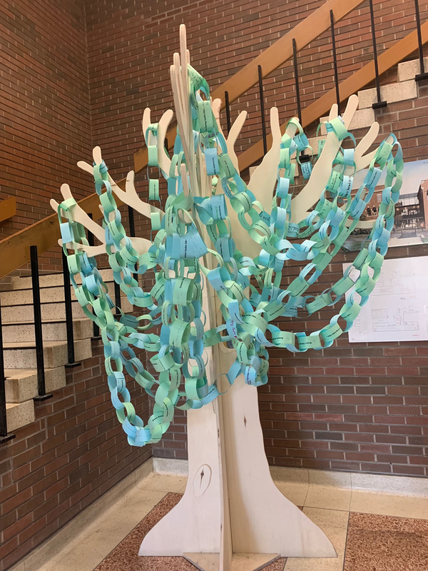 Photo of the tree