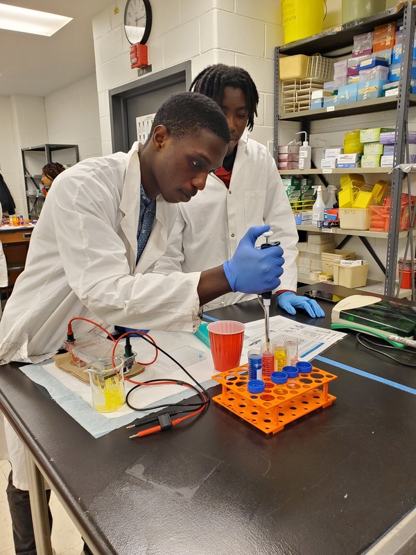 St. Oscar Romero Students Explore Molecular Genetics at U of T