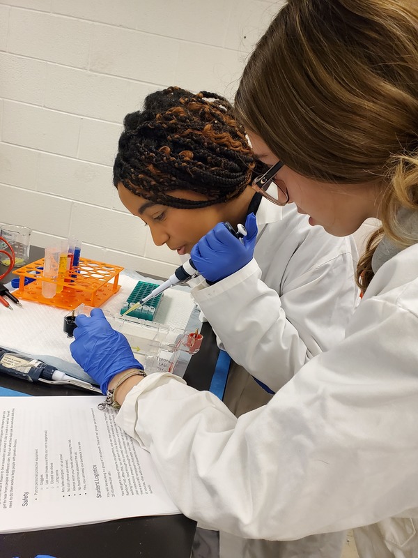 St. Oscar Romero Students Explore Molecular Genetics at U of T