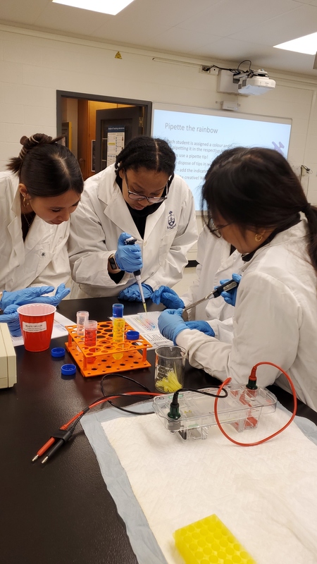 St. Oscar Romero Students Explore Molecular Genetics at U of T