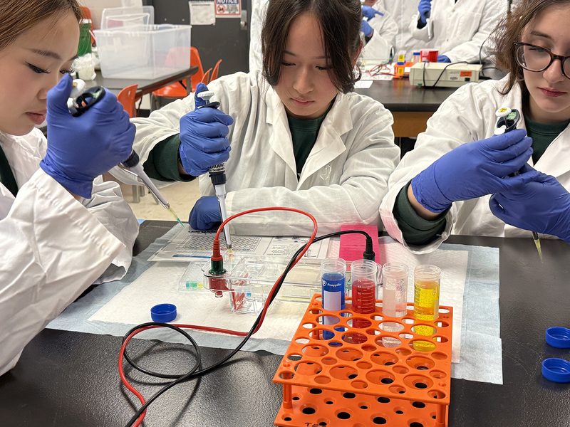 Photo of JCM students in the lab working on experiment during the excursion
