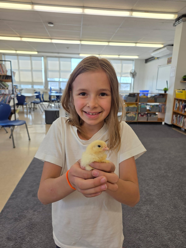 Photo of a St. Benedict student with one of the chicks