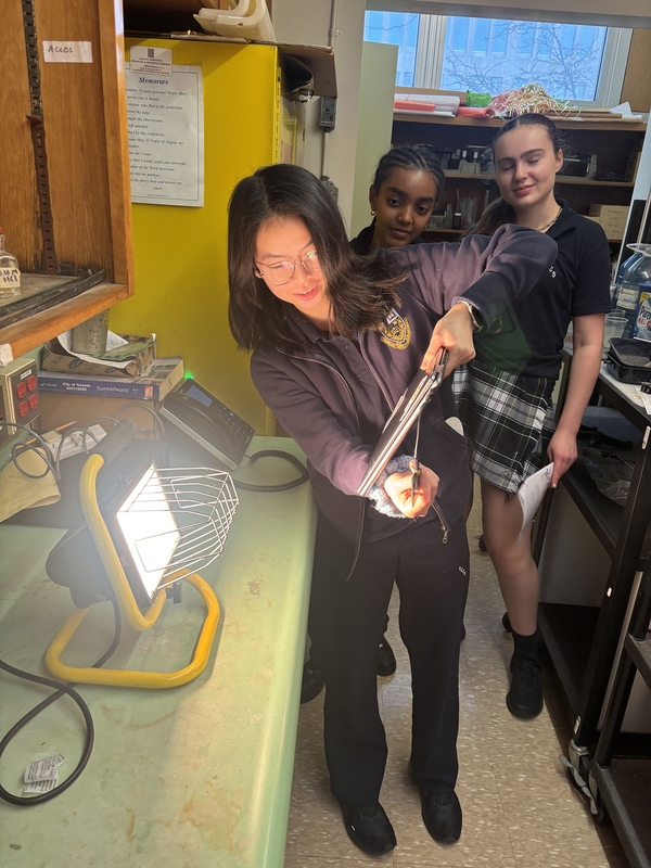 Collage of three photos of SJCS students working on their project with the help of their teacher