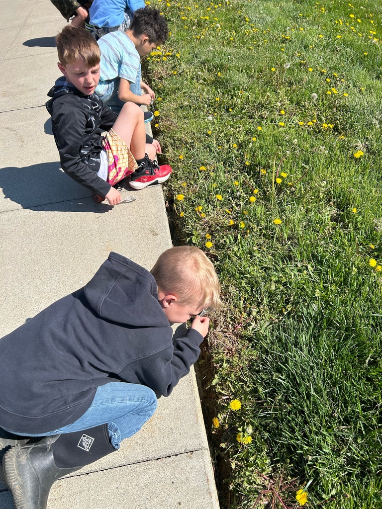 Mrs. Wright's students