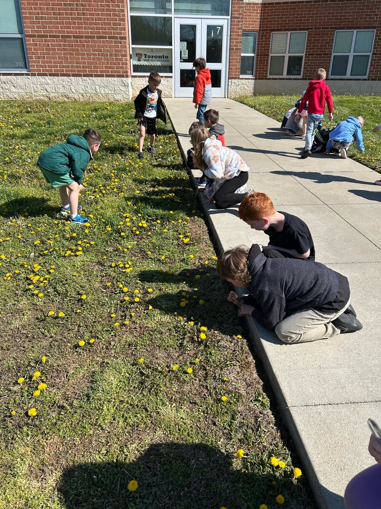 Mrs. Wright's students