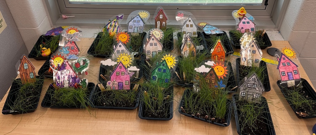 kid(s) with grass plant