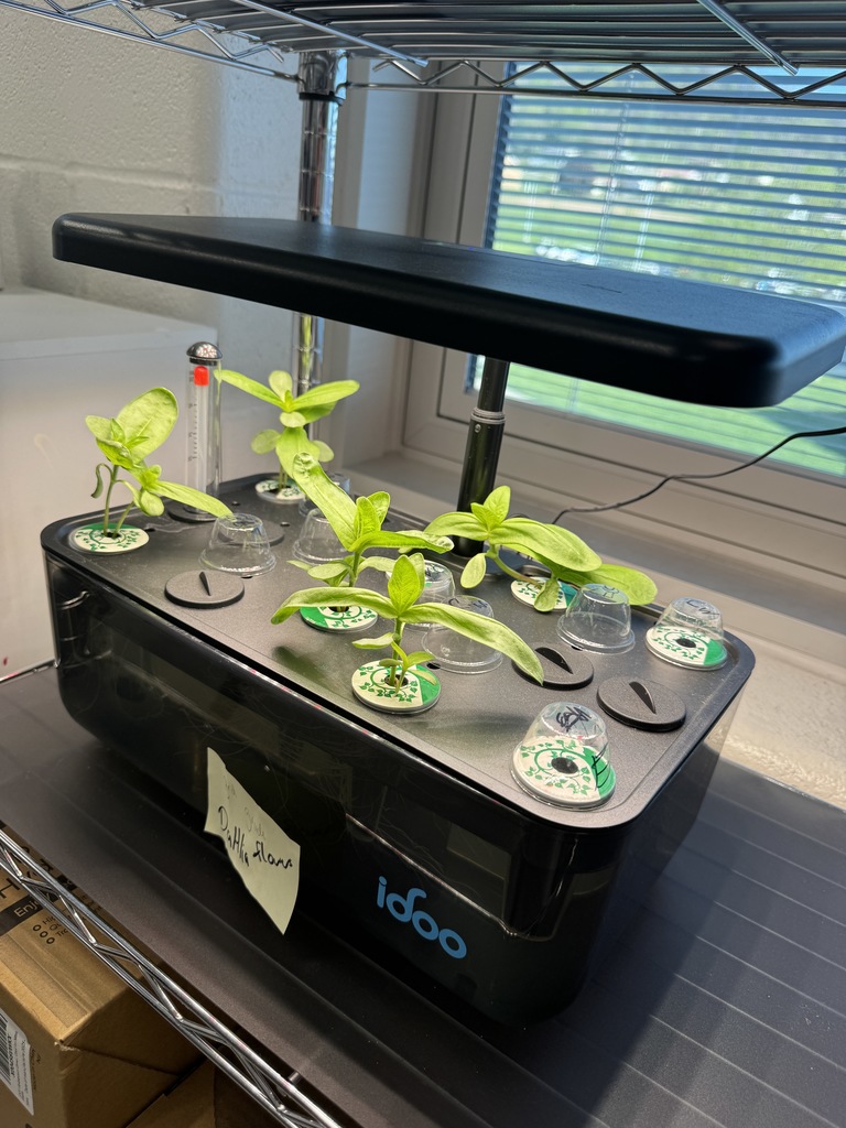 hydroponic system
